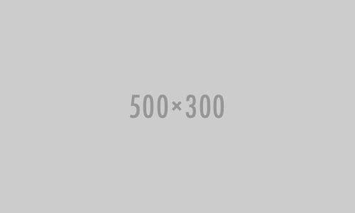 success_500_300 success 500 300