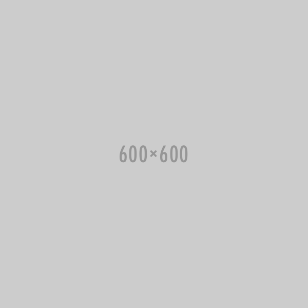 success_600_600 success 600 600